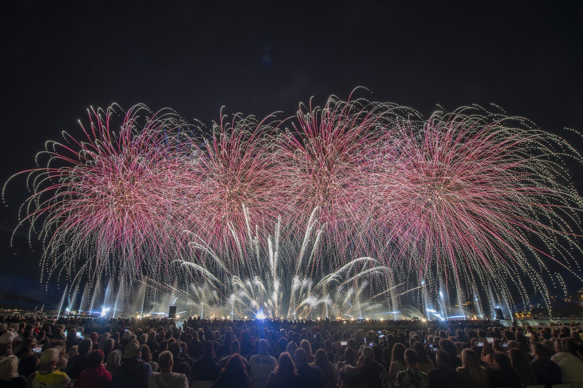 Feu d'artifice rose et blanc