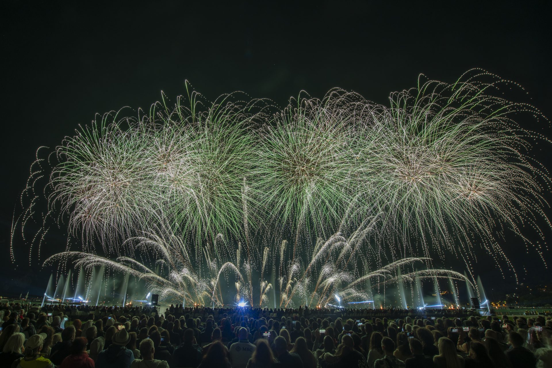 Feu d'artifice vert et doré